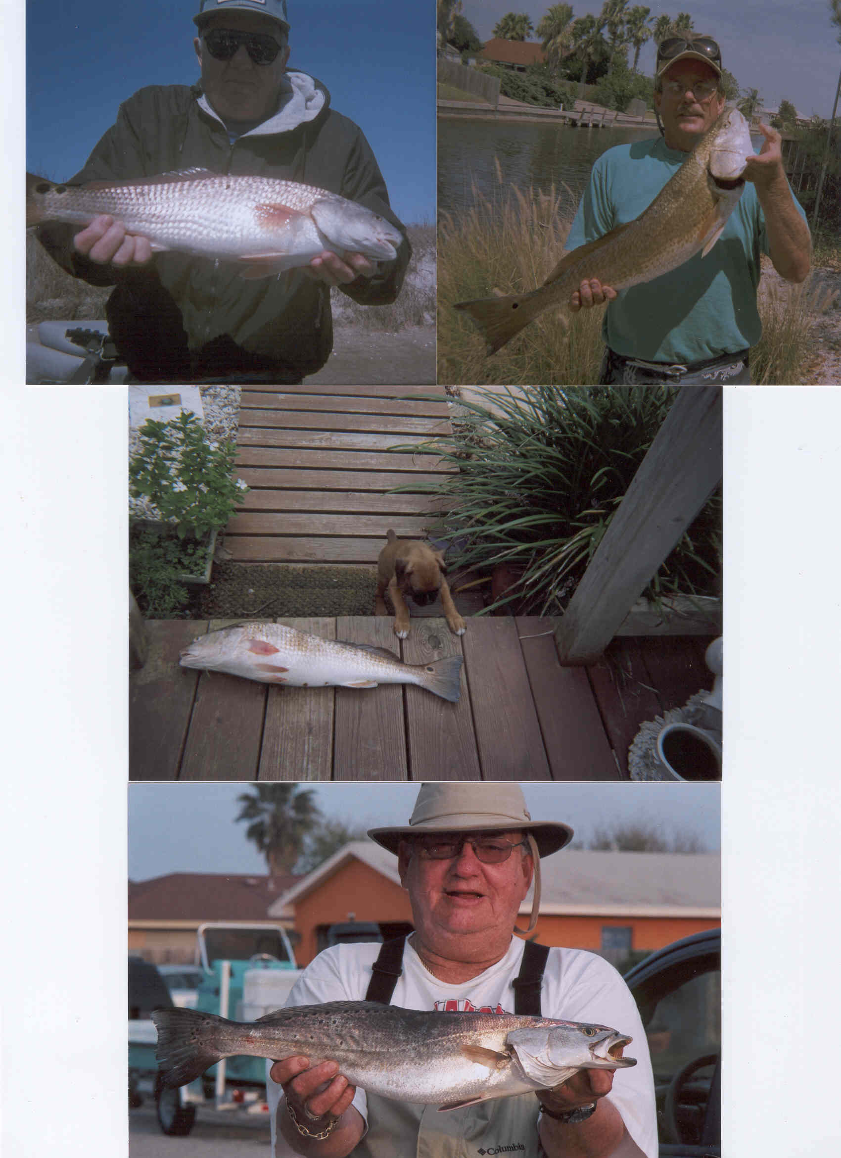 fish.jpg