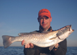  Picture of the Week Galveston Fishing Guides 
